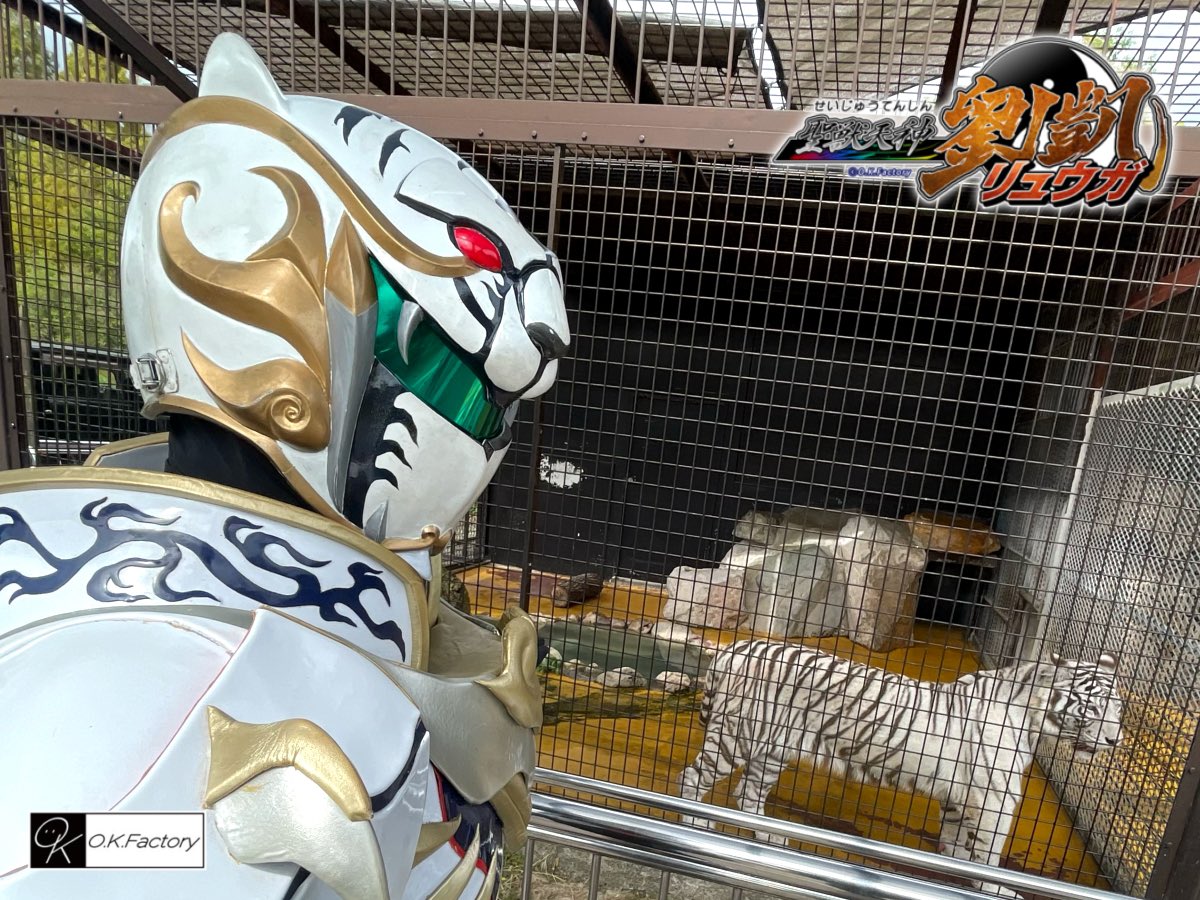 OK_Factory2012's tweet photo. もう嬉し涙が･･･2012年に登場してからの夢だったモチーフであるホワイトタイガーとの夢のSHOT❗️📸

このような素敵な機会をくださった関係者の皆さまのお心遣いに心より感謝申し上げます‼️🙇🏻‍♀️

次お伺いする時はマイカー入園するぞー❗️✨🚗💨
本当に本当に貴重なお時間をありがとうございました❣️🐯 https://t.co/UbvEA1GMJu