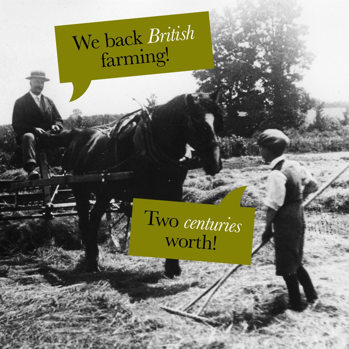 barberscheese's tweet image. Along with the delicious flavours, every single bite of our cheese holds two centuries of British heritage. 

We #BackBritishFarming, and have done since the very start.

@NFUtweets #britishheritage