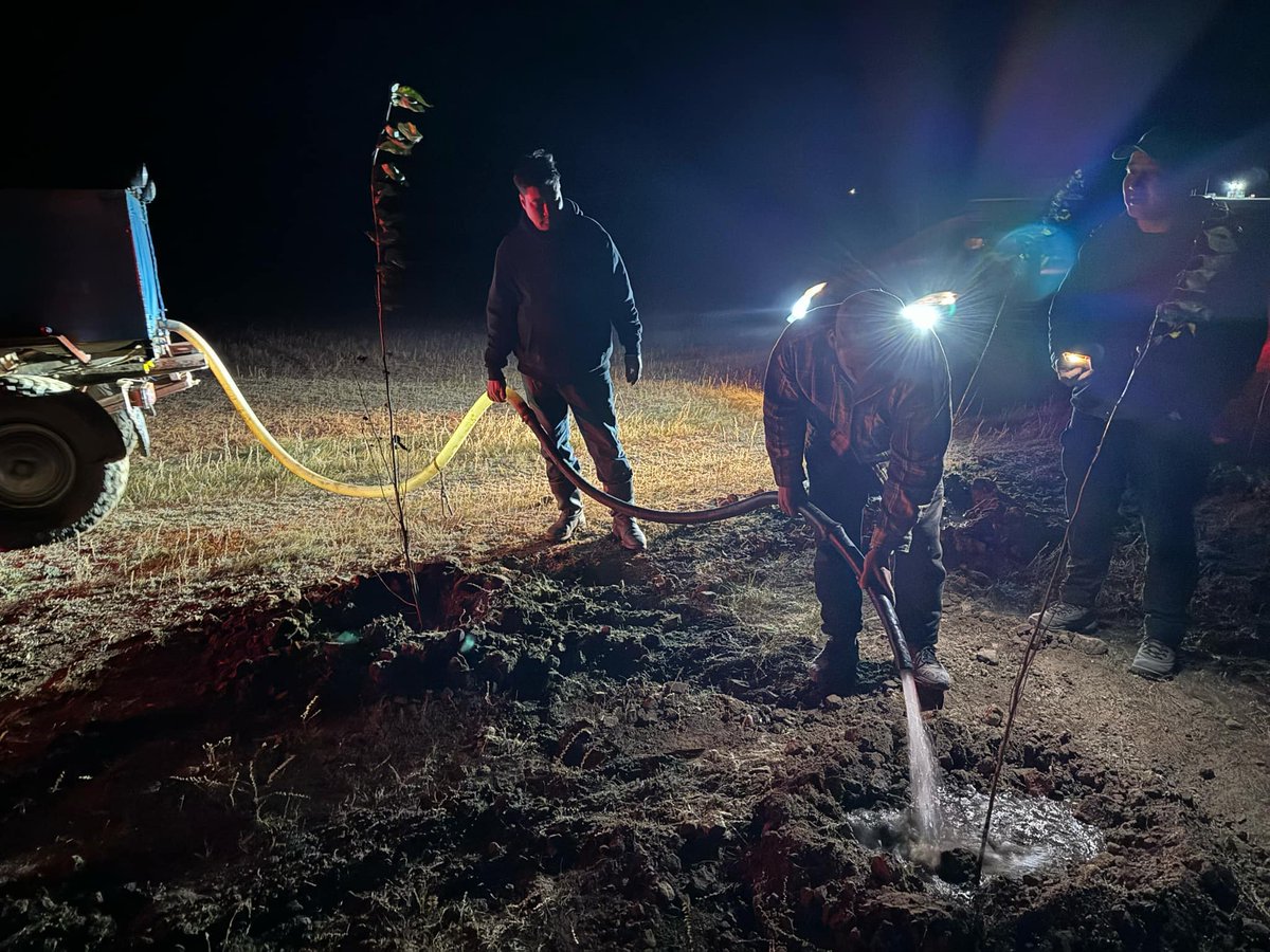 Company representatives partook in the planting of the tree seedlings well into the night. Trees are important to combatting desertification and deforestation and we are delighted to do our part in maintaining Mongolia's ecosystem. #MATD