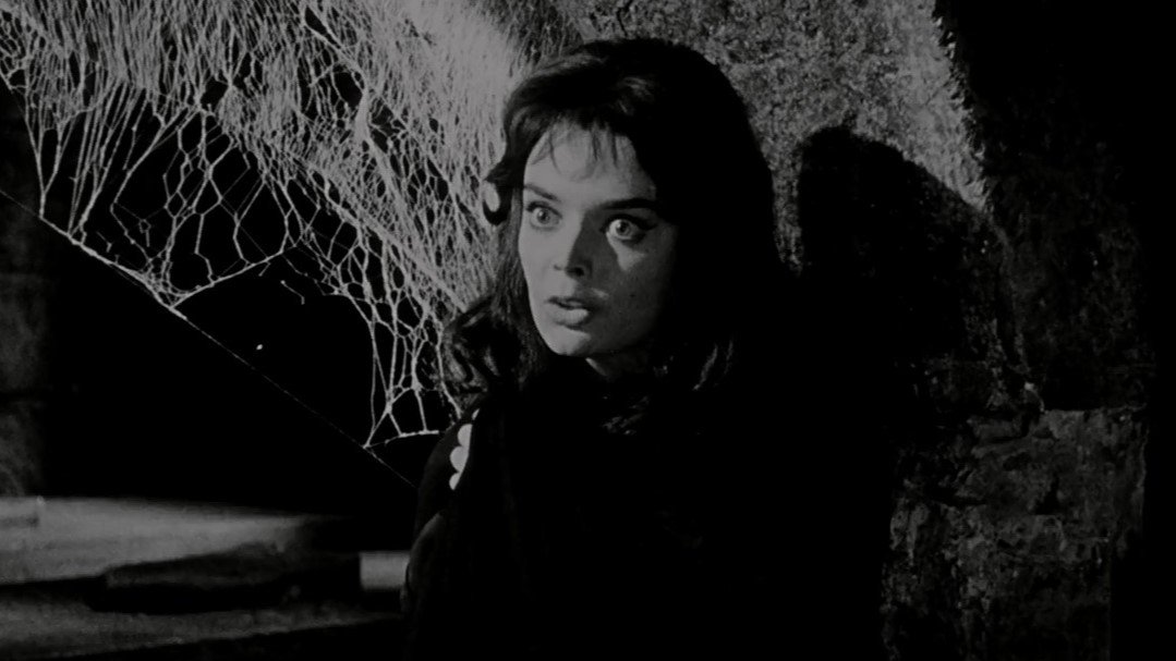 🎃🎙️ | Comenzamos nuestro especial #halloween2024 con «La edad del oro del vampirismo», un primer episodio dedicado a la valiosa producción europea que revitalizó el subgénero a finales de los 50. A los micros Miguel Muñoz Garnica y José Luis Forte: eamcine.com/yZiOAj