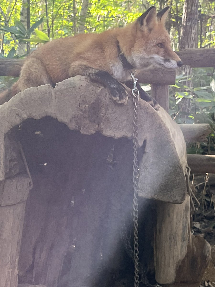 1197_masa's tweet photo. 北海道旅行の思い出
今回は札幌、小樽辺りを観光来たけど他のエリアにも行きたいところ色々あるしまた行きたいな

そしてご飯が美味しい！ https://t.co/tDbX0lUhN0