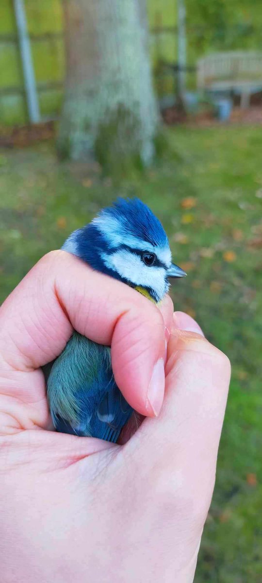 NERC Environmental Omics Facility tweet media