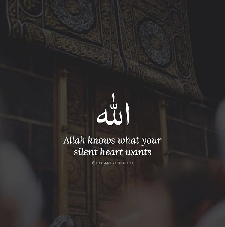 NazRimsha6498's tweet photo. دنیا کے کتابوں میں قرآن چمکتا ہے
قرآن میں اللہ کا فرمان چمکتا ہے
عادت جو بنالے قرآن کے تلاوت کی 
اللہ کی نظروں میں وہ انسان چمکتا ہے
#PSTMARKAZ https://t.co/BIYxw5bIik