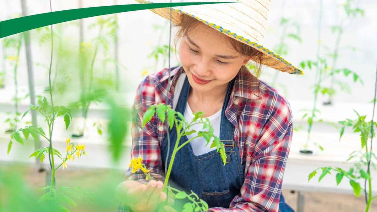 Wussten Sie, dass jede dritte Frau weltweit in der Landwirtschaft arbeitet? In Deutschland sind 450.000 Frauen im Landfrauenverband aktiv – sie setzen sich für Nachhaltigkeit, Bildung und unsere lokale Vielfalt ein. #InternationalerTagDerFrauenInLändlichenGebieten.