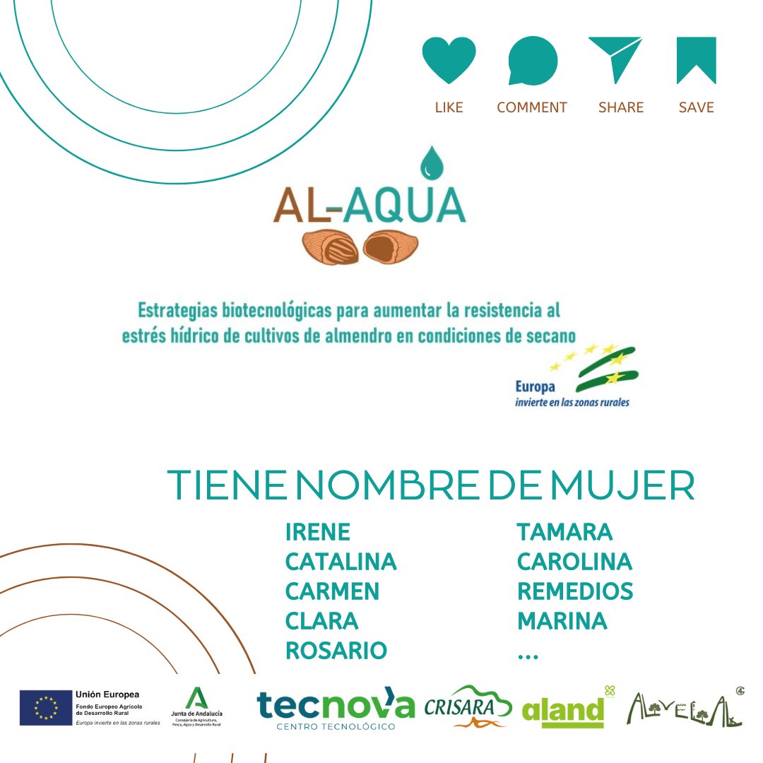 En el #DíaDeLaMujerRural, celebramos a las mujeres del Proyecto Al-Aqua, que impulsan la innovación biotecnológica en el cultivo del almendro para enfrentar el cambio climático. 🌱💧
🔬#AlAqua es un compromiso con la sostenibilidad del campo Y ¡Ellas son el motor del cambio!