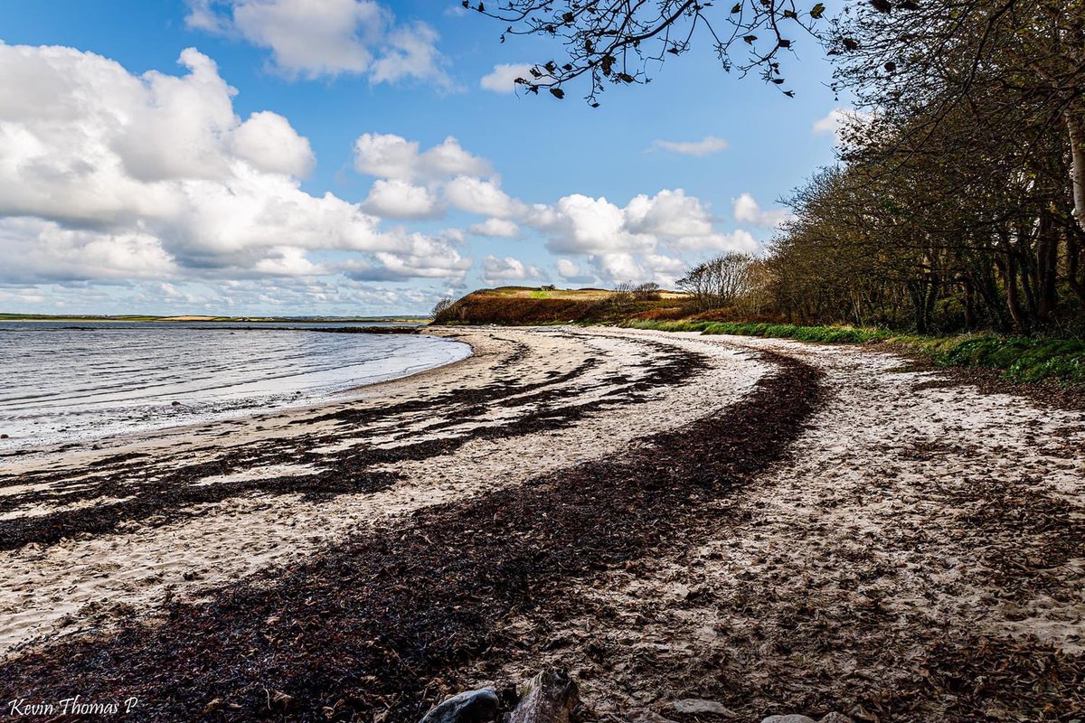 I believe this is a Cree proverb but it rings true 
“Only when the last tree has died and the last river been poisoned and the last fish been caught will we realize we cannot eat money”   
We continue our fight to stop the  destruction of penrhos #SavePenrhos #AchubPenrhos 
📸by