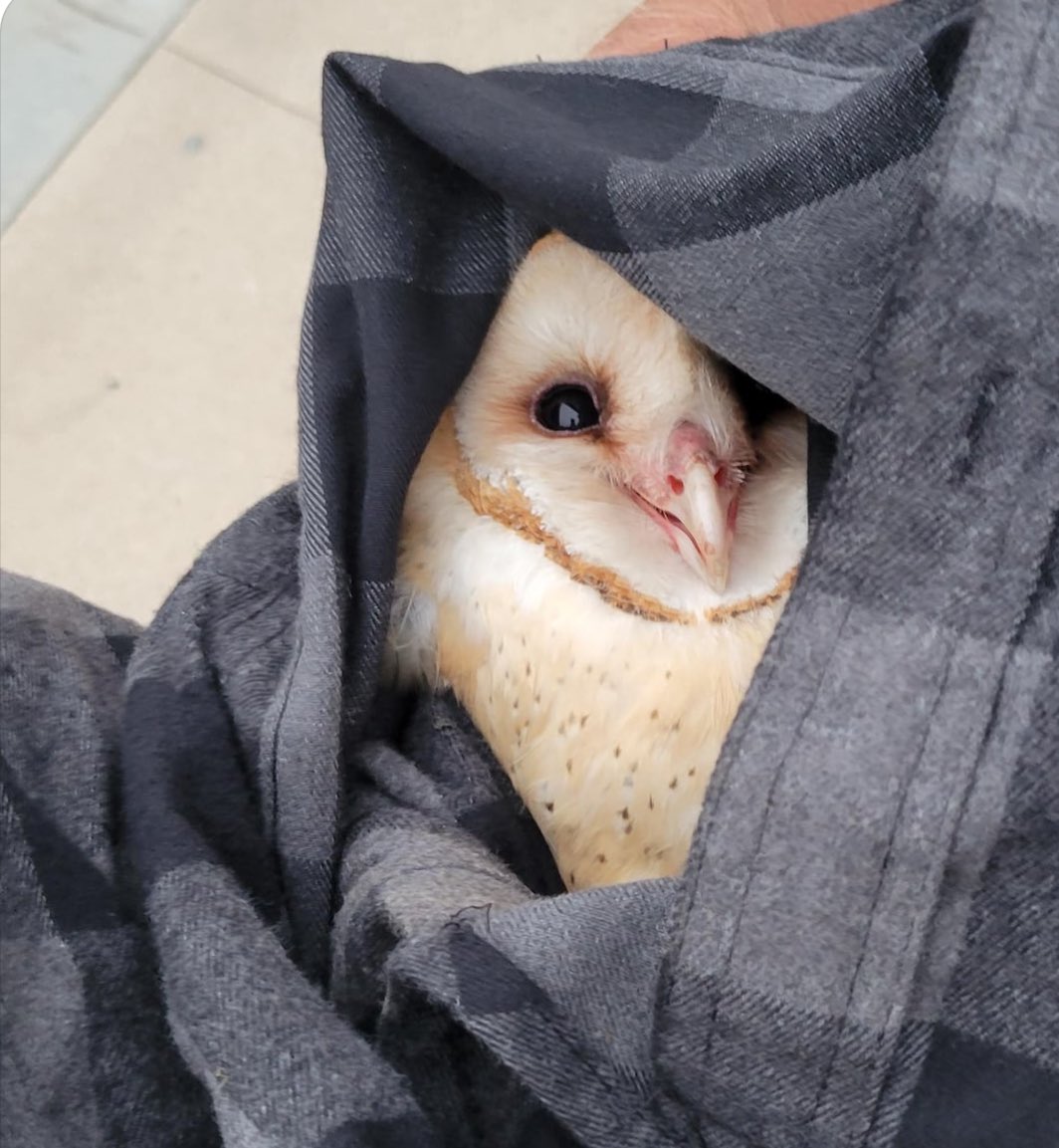 What’s your problem why are you smiling like that cut it out