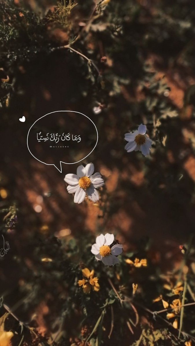 motm2na_'s tweet image. إطمئن🤍..