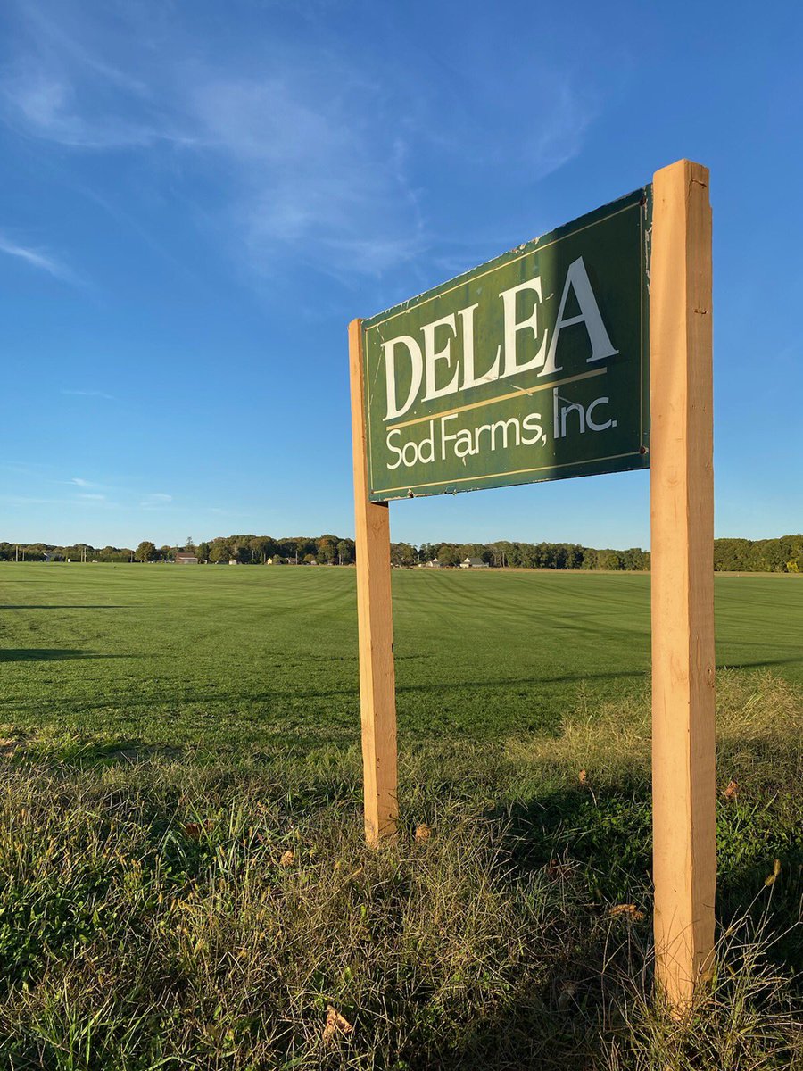 DeLeaSodFarms's tweet image. Turf Tuesday!!  #turftuesday #sodfarm #turfnerd #sod #grass #kentuckybluegrass #lawncare