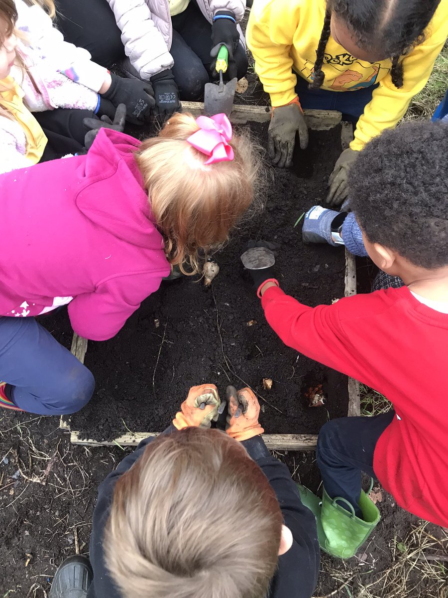 rootstofruitce's tweet photo. Exploring how camouflage helps protect animals from prey today with @warren_farm_pri and working hard on our allotment to make it ready for bulb planting and seed sowing 🌷🌷🌷🌷@rootstofruit202 https://t.co/ytP4zTLAeE