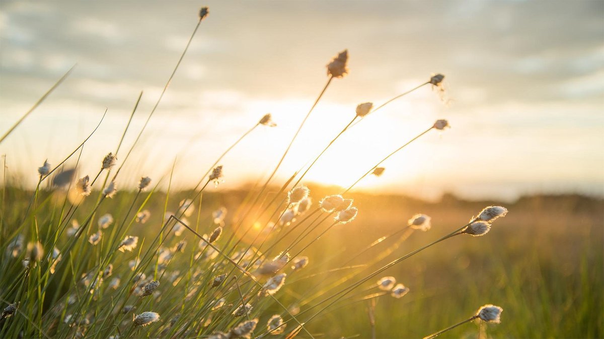 Opportunity | Become our climate champion trustee 🌍

Joining our board is a great opportunity to help us to develop new policy and advocate to governments across the UK and other stakeholders on behalf of museums 📢

Apply by 27 October 👉 ow.ly/7Mxg50TLJ3x
