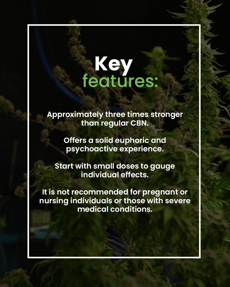 DutchWee's tweet image. Learn the potent effects of CBNO, a powerful cannabinoid that stands out for its euphoric and psychoactive effects. 

📲 +31 683099657
🌐 weedutch.eu 

#cbno #weedutch #cannabisinnovation