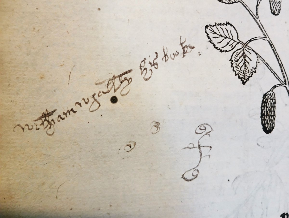 Today's palaeography challenge!