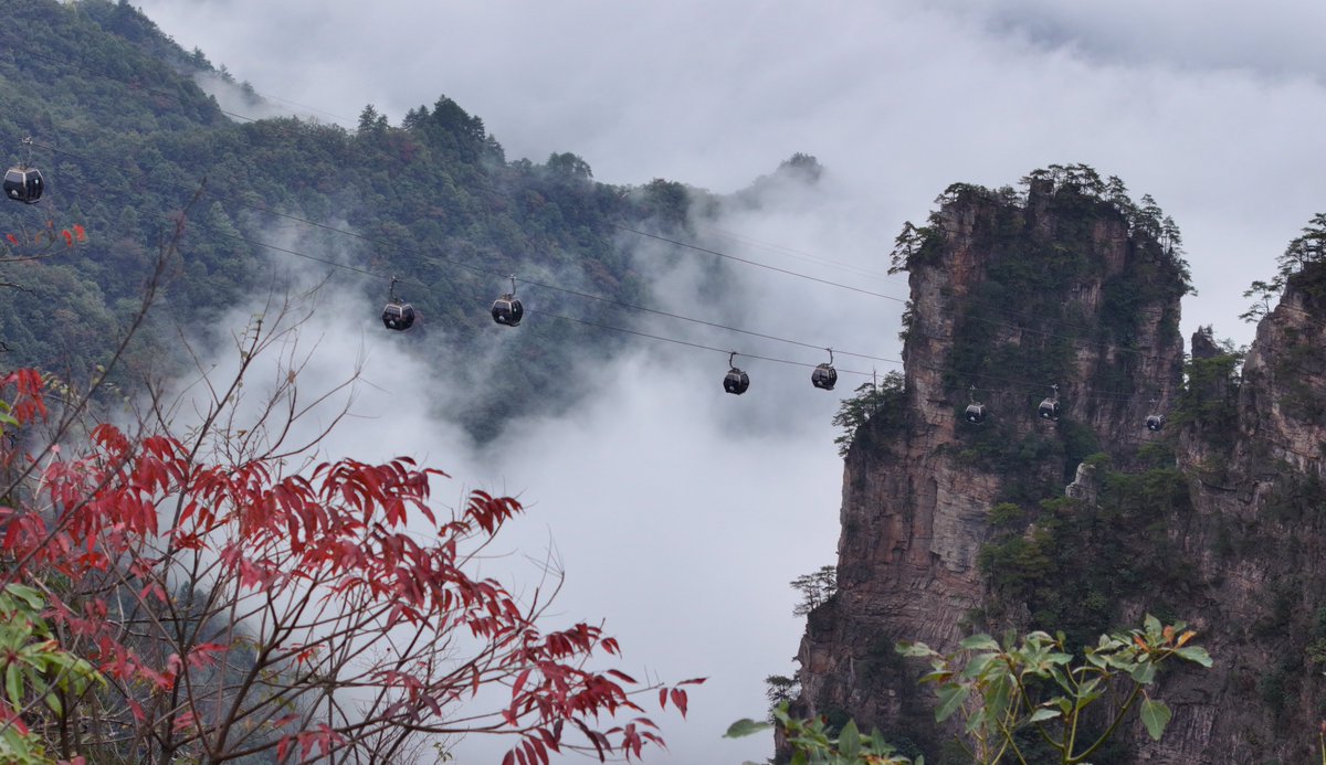 FlyOverChina's tweet photo. After a refreshing rainfall, Zhangjiajie National Forest Park in central China's Hunan province transforms into a breathtaking wonderland! 🌄✨
#flyoverchina #zhangjiajie #autumn #dronephotography https://t.co/g9KGGBQgfS