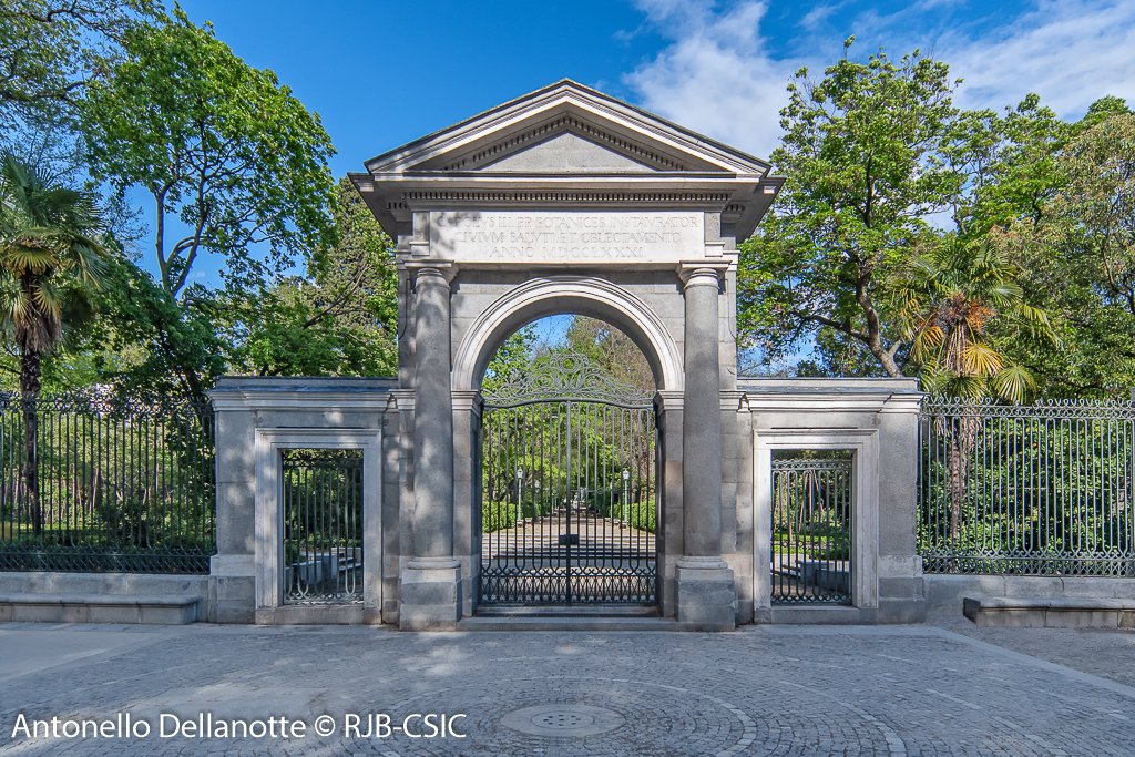 🎉 ¡El 17 de octubre es el 269º aniversario del Real Jardín Botánico <a href="/CSIC/">CSIC</a> ! 🌿 Aquí puedes encontrar reunidos todos los eventos y novedades que os ofrecemos para celebrar nuestro muy añejo cumpleaños:  rjb.csic.es/ciencia-y-acti…
Abrimos 🧵para detallarlos: