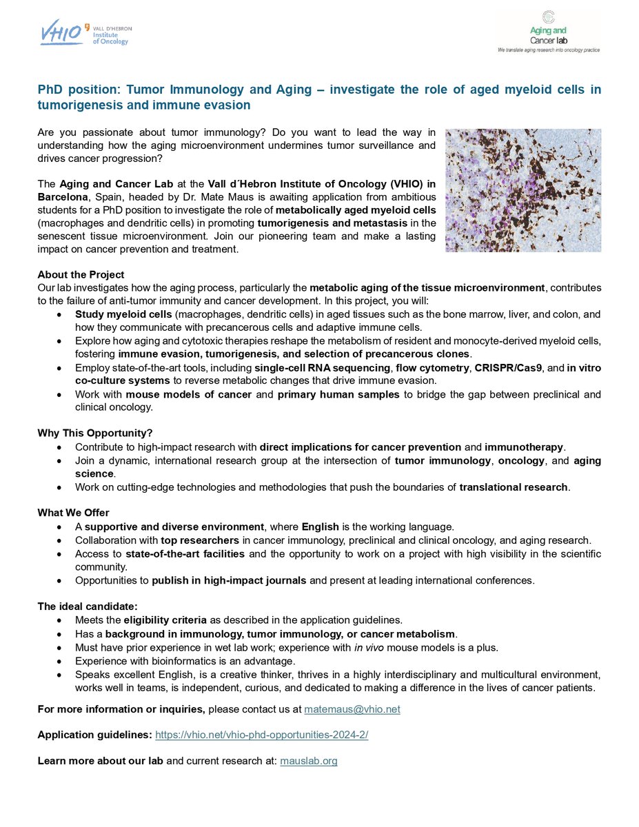 Mate Maus (@matemaus) on Twitter photo PhD position: Tumor Immunology and Aging – investigate the role of aged myeloid cells in tumorigenesis and immune evasion
For more information or inquiries, please contact us at matemaus@vhio.net
Application guidelines: vhio.net/vhio-phd-oppor… PhD position: Tumor Immunology and Aging – investigate the role of aged myeloid cells in tumorigenesis and immune evasion
For more information or inquiries, please contact us at matemaus@vhio.net
Application guidelines: vhio.net/vhio-phd-oppor…