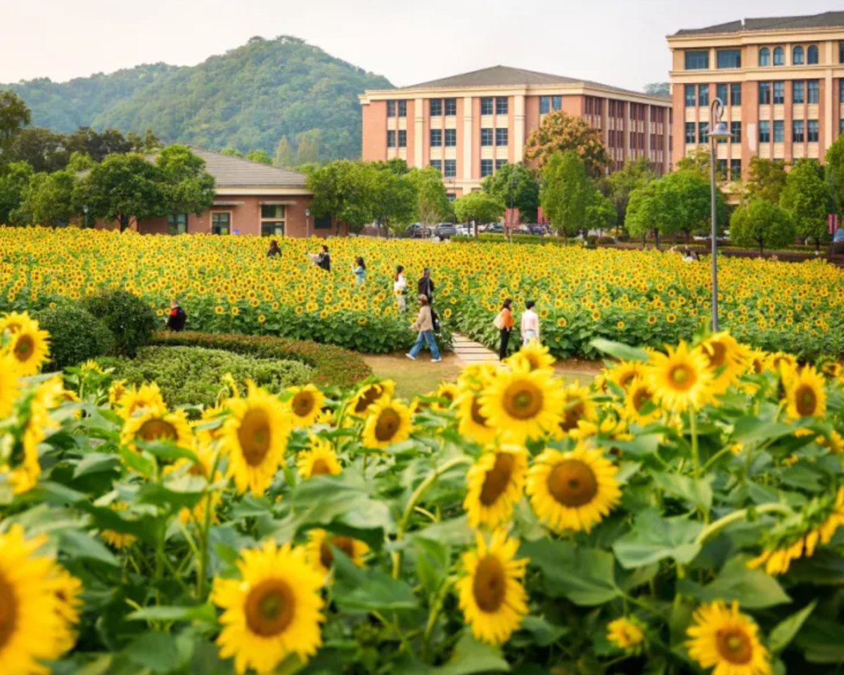 Zhejiang University of Technology tweet media