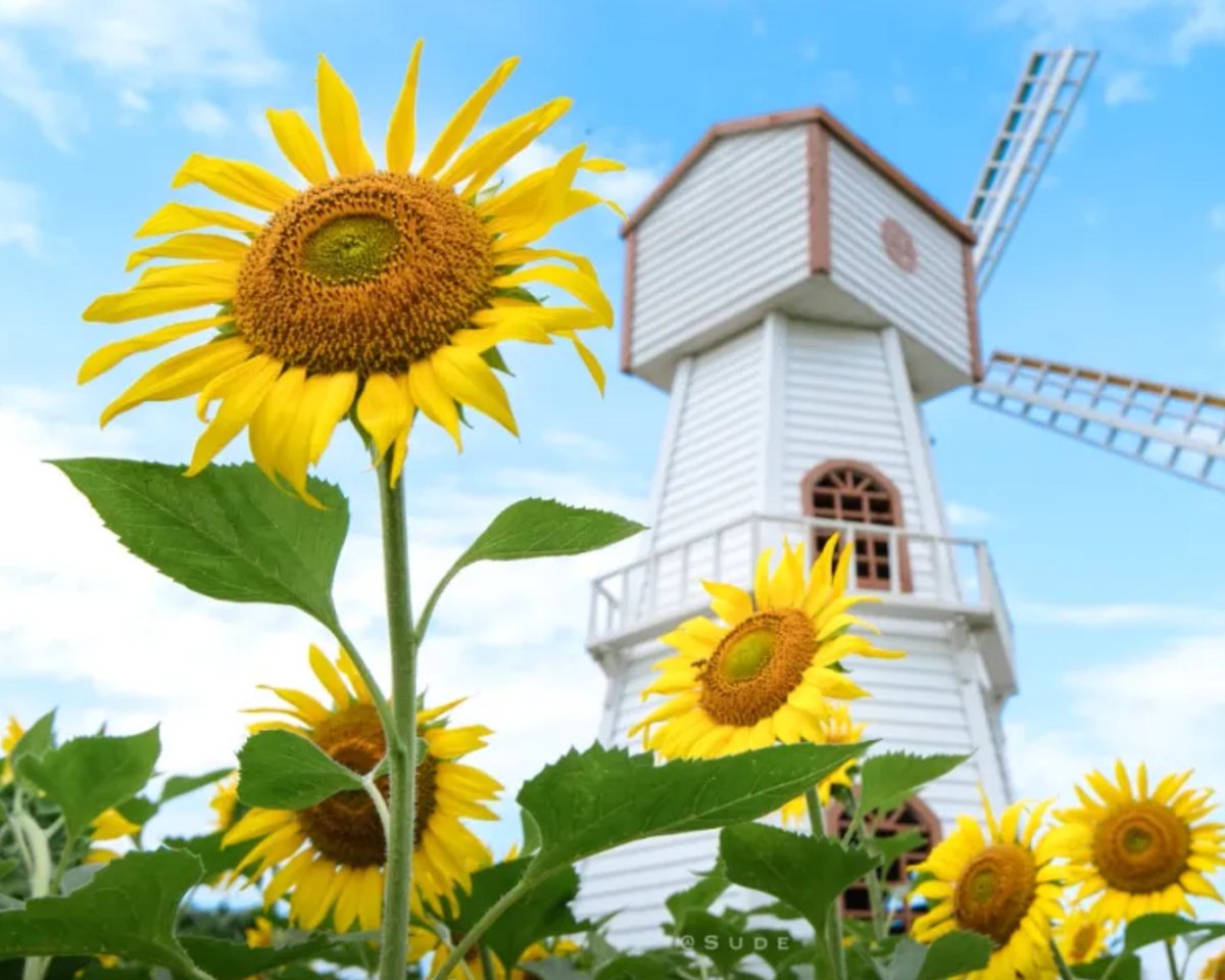 Zhejiang University of Technology tweet media