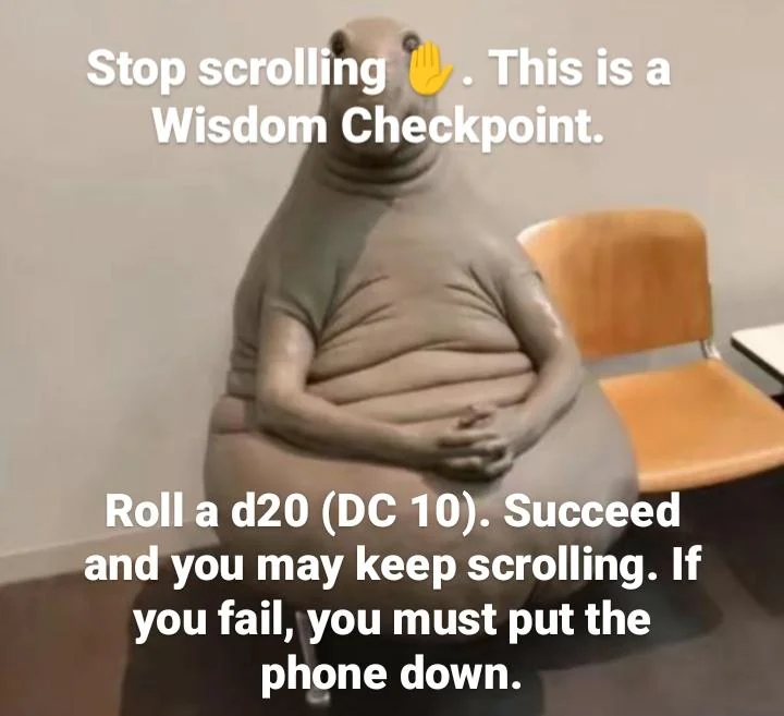 i rolled a 12 on my D20