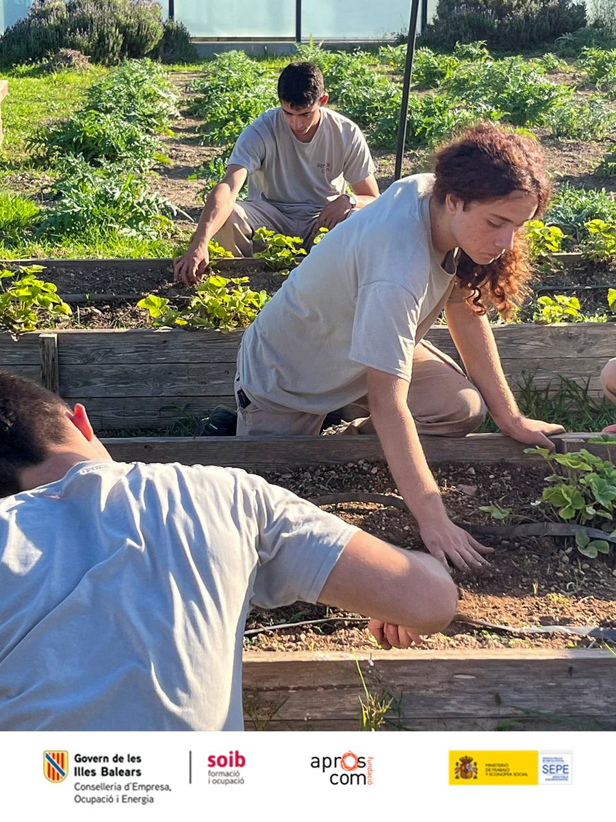 Aproscom Fundació tweet media