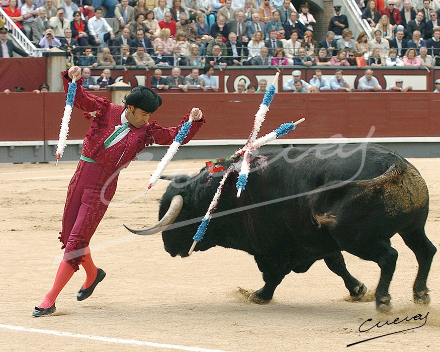 Maestría - Naturalidad.

. Luís Francisco Esplá

. 12 de mayo del 2005"San Isidro". <a href="/LasVentas/">Plaza de Las Ventas</a>
Compartió cartel con Fernando Cepeda y Uceda Leal. Con toros de Fermín Bohóquez.
👉Prohibida su reproducción total o parcial ©®