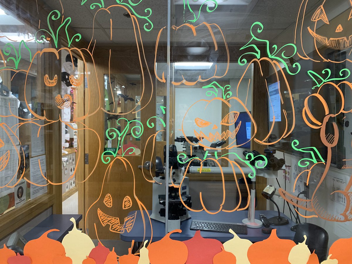 judith_ferry's tweet photo. #MassGeneralPathology residents have gone all out, decorating the residents’ room for #Halloween! Imagine signing out with a bloody skull over your left shoulder. https://t.co/3dPrINcZnB
