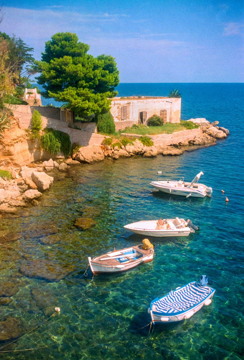 Maxime Visticot tweet media