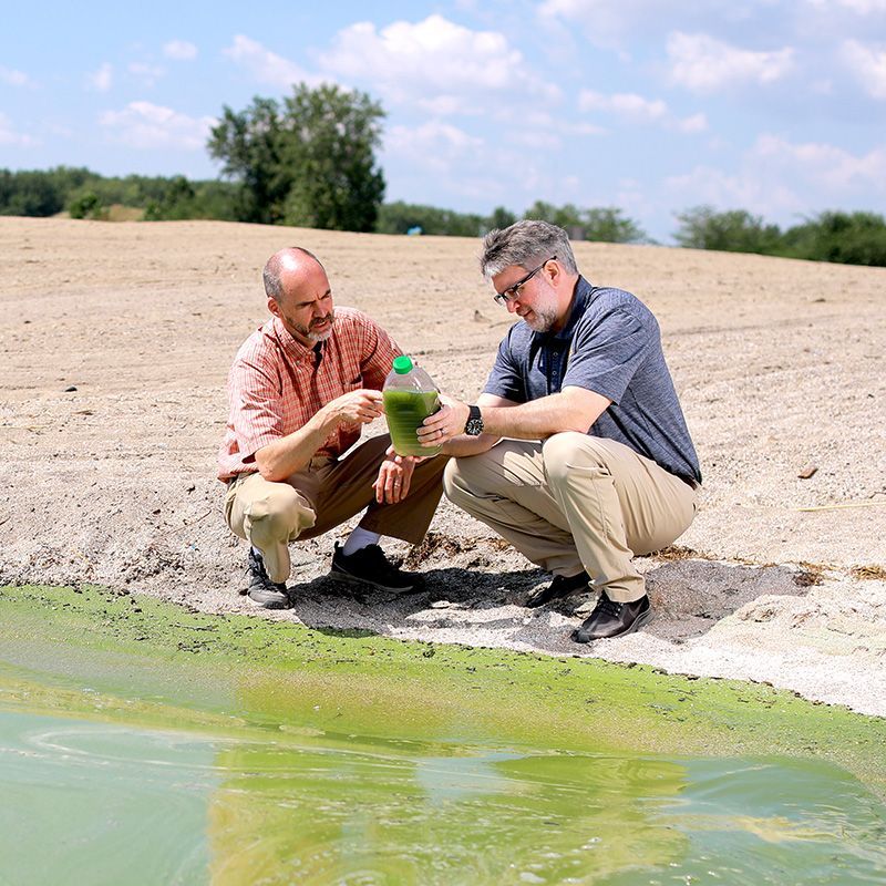 UToledo Medicine (@utoledomed) on Twitter photo Drs. Steven Haller & David Kennedy are featured in <a href="/UToledo/">The University of Toledo</a>’s spotlight on "The Power To Do Innovative Algal Toxin Research." They’re studying the health impact of airborne algal toxins near Lake Erie, a first-of-its-kind 5-year study: buff.ly/487ifLw
#ThePowerToDo Drs. Steven Haller & David Kennedy are featured in <a href="/UToledo/">The University of Toledo</a>’s spotlight on "The Power To Do Innovative Algal Toxin Research." They’re studying the health impact of airborne algal toxins near Lake Erie, a first-of-its-kind 5-year study: buff.ly/487ifLw
#ThePowerToDo