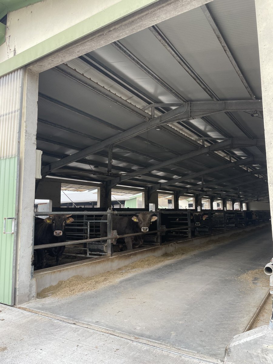 Life Carbon Farming tweet media