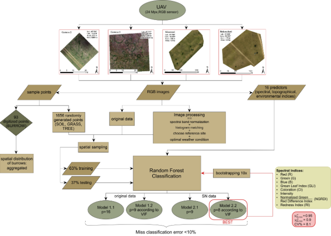 RemoteSens_MDPI's tweet photo. 🐹🐹🛩️ Identification and Counting of European #SouslikBurrows from #UAV Images by #PixelBased Image Analysis and #RandomForest Classification: A Simple, Semi-Automated, yet Accurate Method for Estimating #PopulationSize
✍️ Csongor I. Gedeon et al.
📎 https://t.co/m9VlVBx0UM https://t.co/NBx3DRG1nn