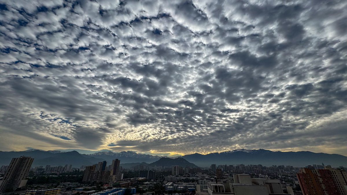 Darksnake3's tweet photo. Morning! ☺️🙌🏻 https://t.co/91subG2tpl