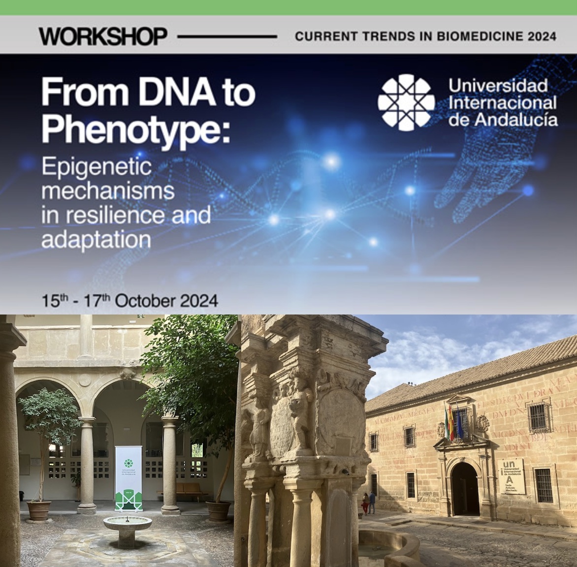 robert_ife's tweet image. Today kick off: "From DNA to Phenotype" workshop #epigenetics in beautiful Baeza 🇪🇸 Looking forward to 3 days of to excellent science and stimulating discussions. Thanks to all the speakers for accepting the invite !
