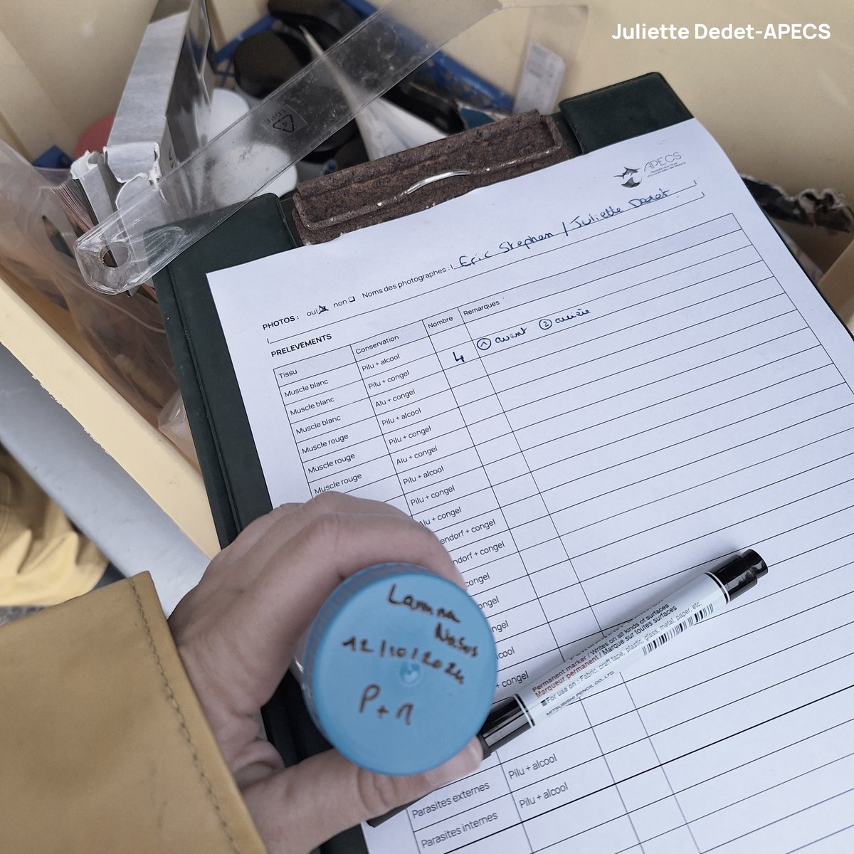 Association APECS tweet media