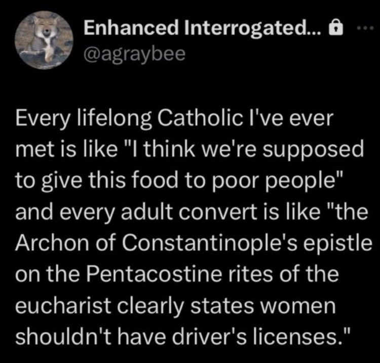 Fiona Small (@fionasmall) on Twitter photo 