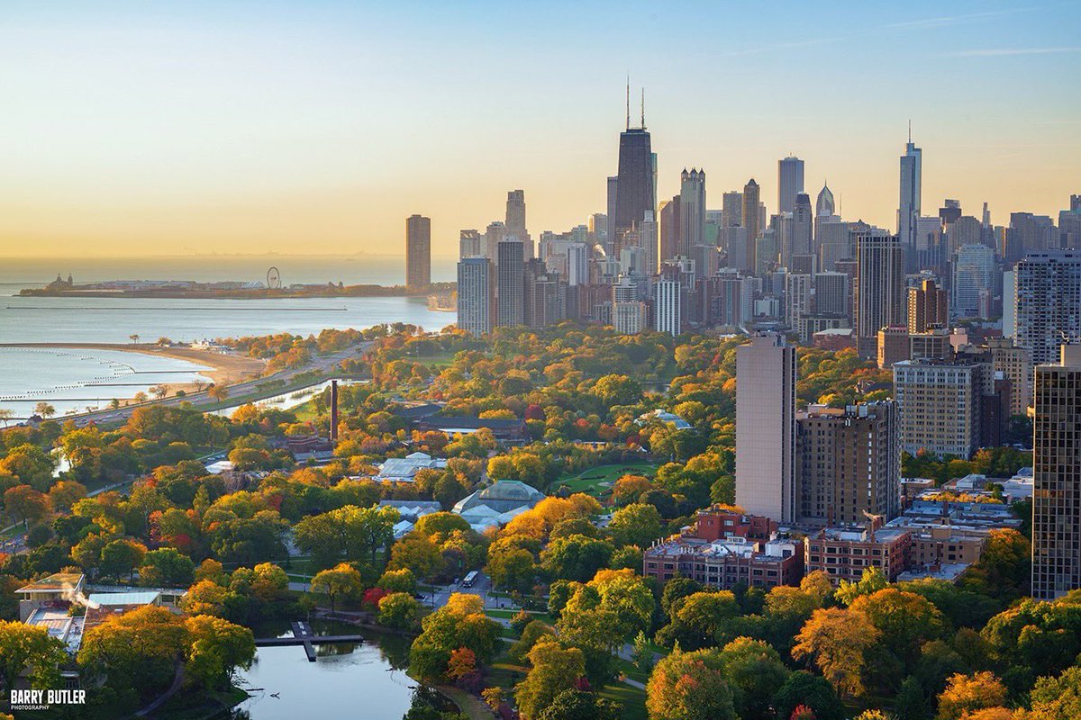 Autumn's Awesomeness.  Chicago's Lincoln Park filled with color on this day in 2022 for Turnback Tuesday.