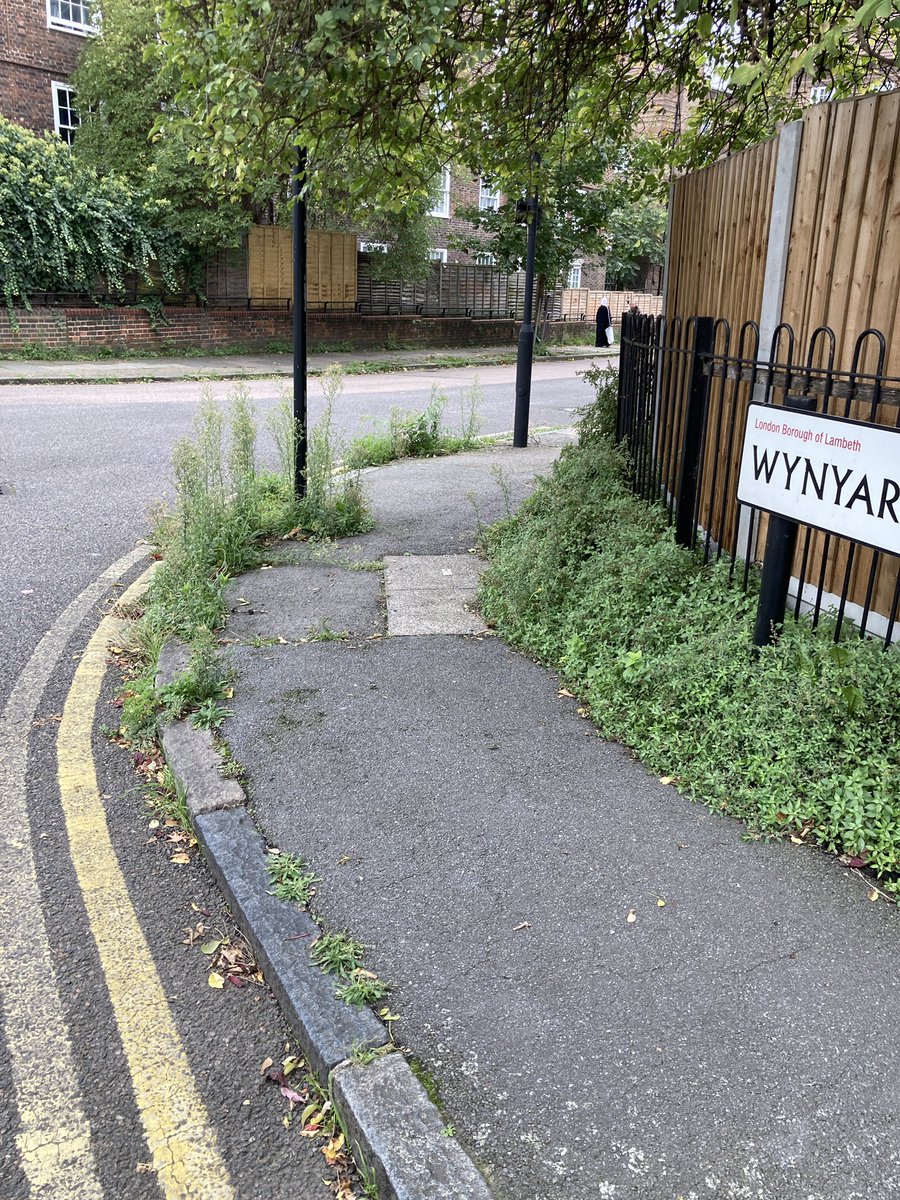 Zach Mendelsohn (@mzach8) on Twitter photo So we’ve had #nomowmay #letitbloomjune and now it just appears to be #letsnotdoanything <a href="/lambeth_council/">Lambeth Council</a> it would appear everywhere is not being managed at all, making it difficult to walk down some pavements! #shambeth #Lambeth streets are turning into the #iamlegend film set! So we’ve had #nomowmay #letitbloomjune and now it just appears to be #letsnotdoanything <a href="/lambeth_council/">Lambeth Council</a> it would appear everywhere is not being managed at all, making it difficult to walk down some pavements! #shambeth #Lambeth streets are turning into the #iamlegend film set!