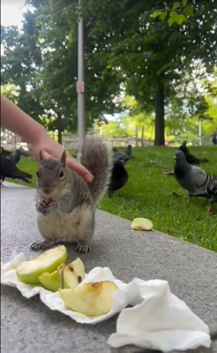 Love is everything...