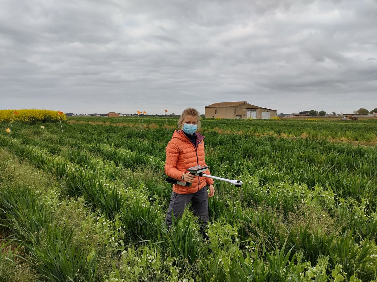 Daniel Plaza-Bonilla tweet media