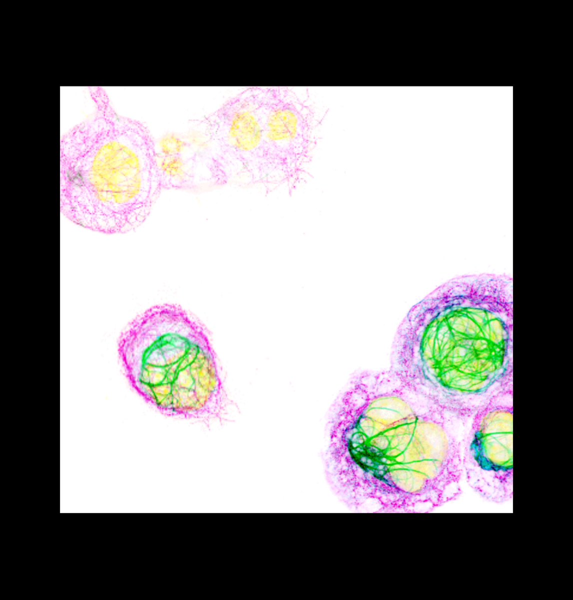 Happy to annonce we are recruiting two postdocs to study the relationship between virus infection and microtubules. If interested contact us <a href="/CIRI_Lyon/">CIRI Lyon</a> @ENSdeLyon <a href="/Inserm/">Inserm</a> <a href="/CNRS/">CNRS 🌍</a>
