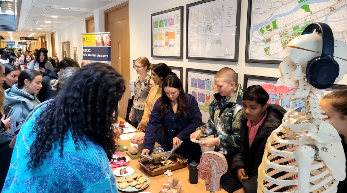 Mutahira Lone tweet media