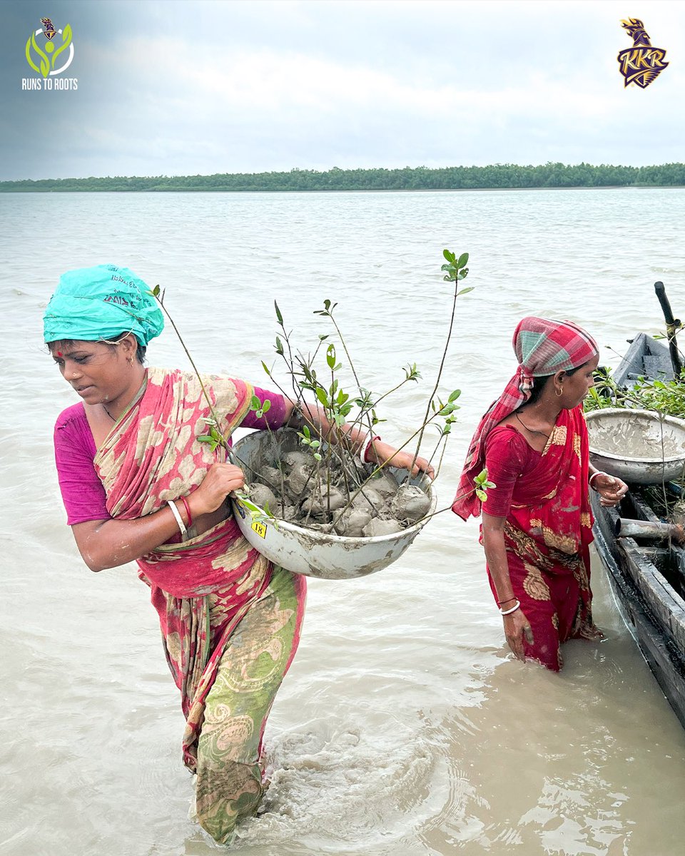 KKRiders's tweet photo. Empowering the community women and committing towards sustainability through our #RunsToRoots initiative at the Sunderbans! 💜🌱 https://t.co/YLTT119jY5