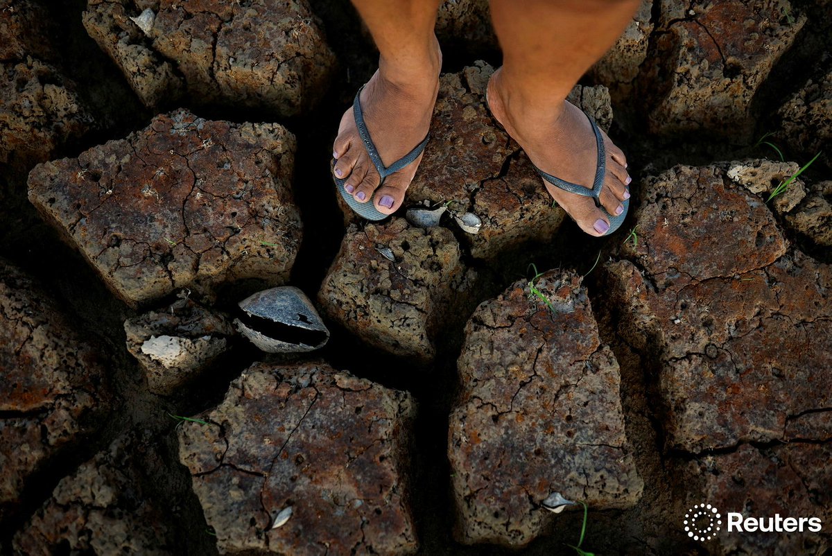 Amanda Perobelli tweet media