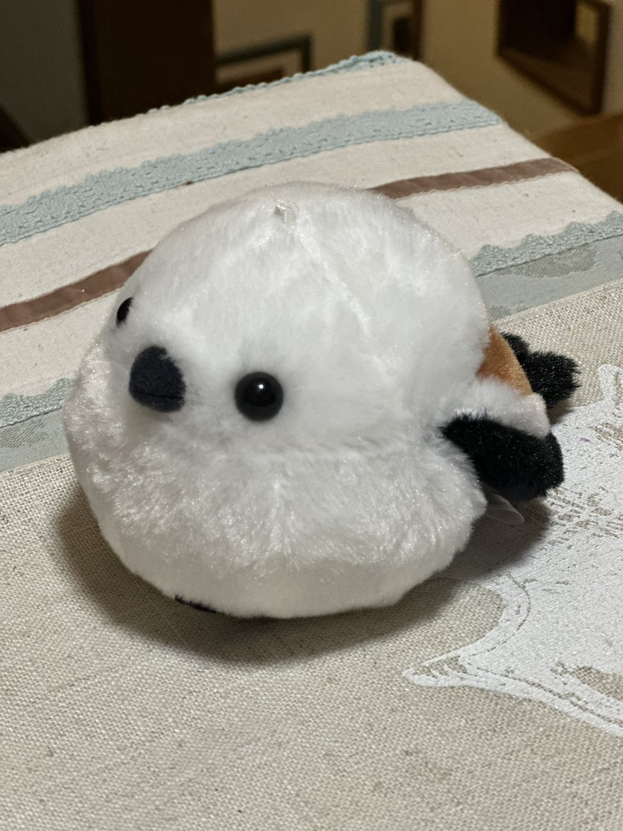 효자🎈 ソンシギョン 💜성시경 応援中💜 tweet media