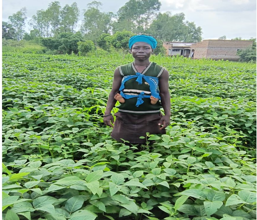 uwonet's tweet photo. We also celebrate Mrs. Margaret Akello, a 31-year-old farmer, Nwoya District. Farming on 6 acres, she grows soybeans, beans, maize &amp;has livestock, boosting her household income &amp;food security. Her hard work has made her a role model in her community. #InternationalDayOfRuralWomen https://t.co/0o5gJLt3LX