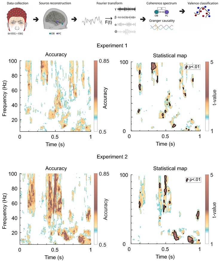 PLOSBiology's tweet photo. How is odor valence info communicated from our #OlfactoryBulb to #OlfactoryCortex? @NordenNeuro @OdorJohan &co reveal when subjective valence info is communicated, as well the type of info and the frequency band in which it is transferred #PLOSBiology https://t.co/LY5vleBWLS https://t.co/2UYwwLdfAr