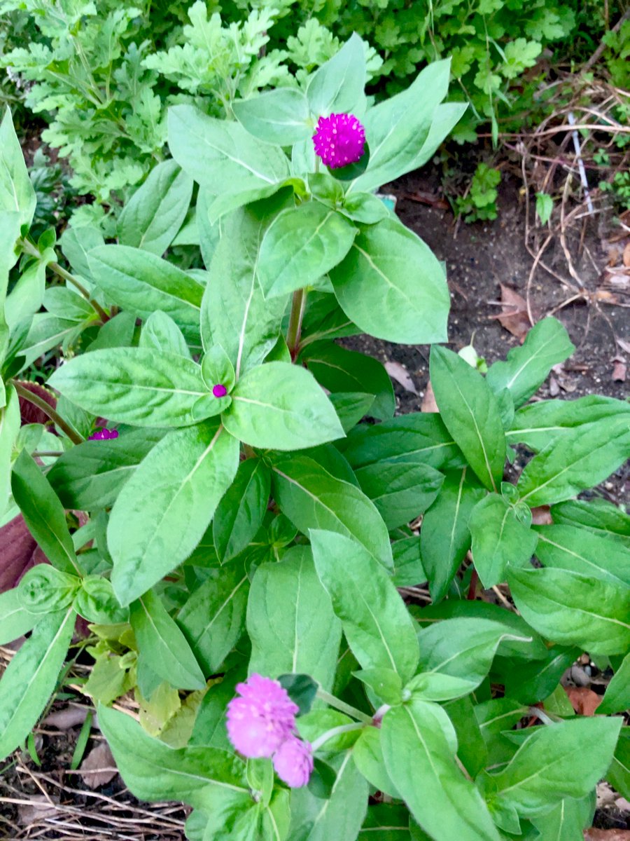 #JapanTravel #Japantrip
#picture #photos
#Japanesenature #日本