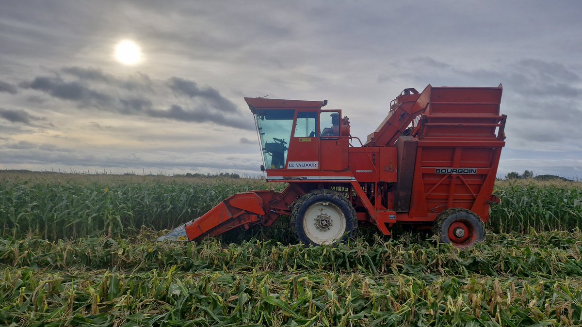 Reint Risseeuw tweet media