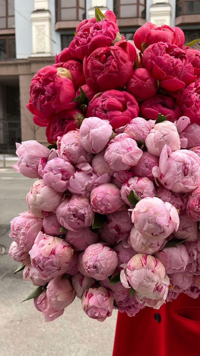 Layers of love in every peony bloom. 💕