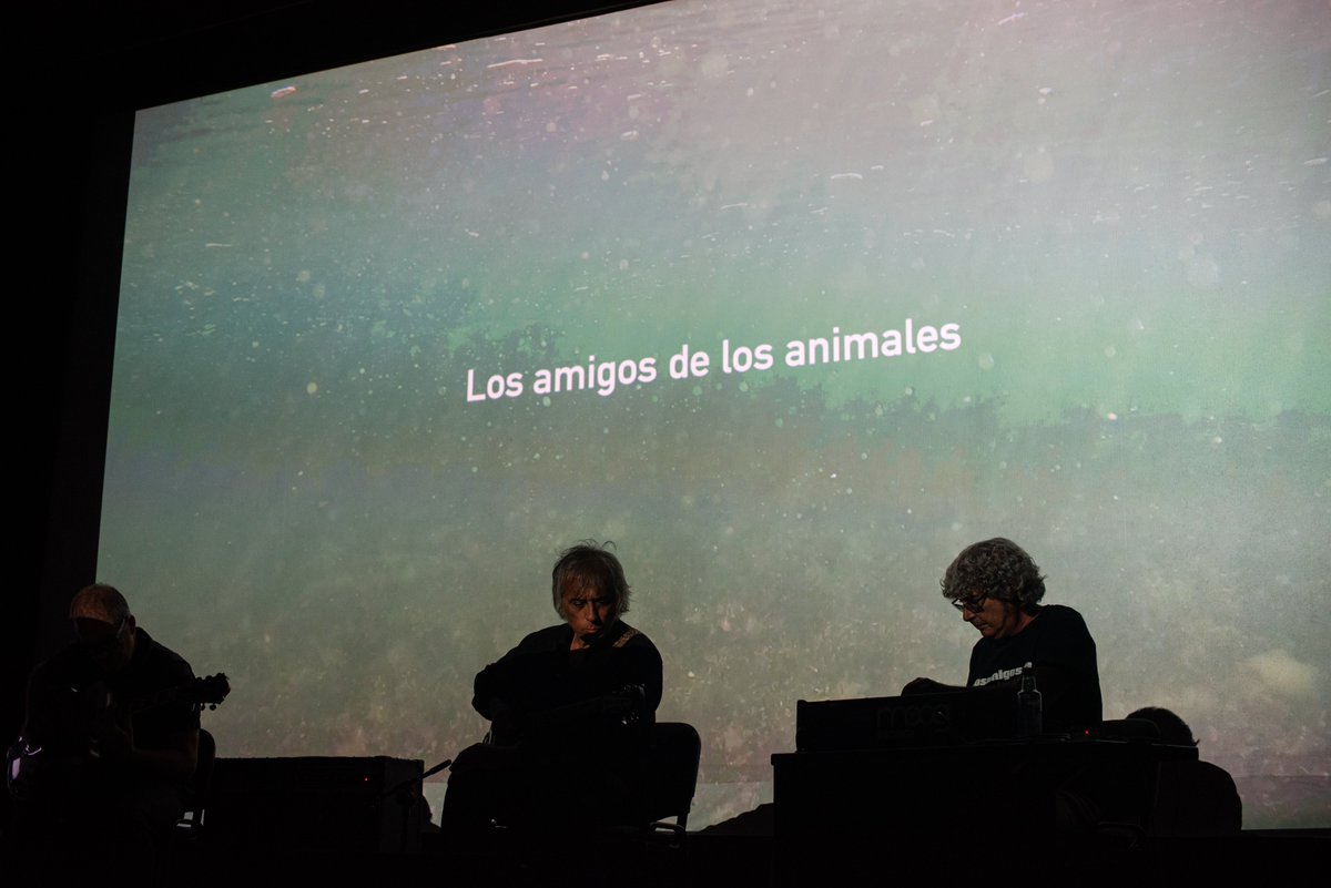 Fundación Legado Humano Natural tweet media