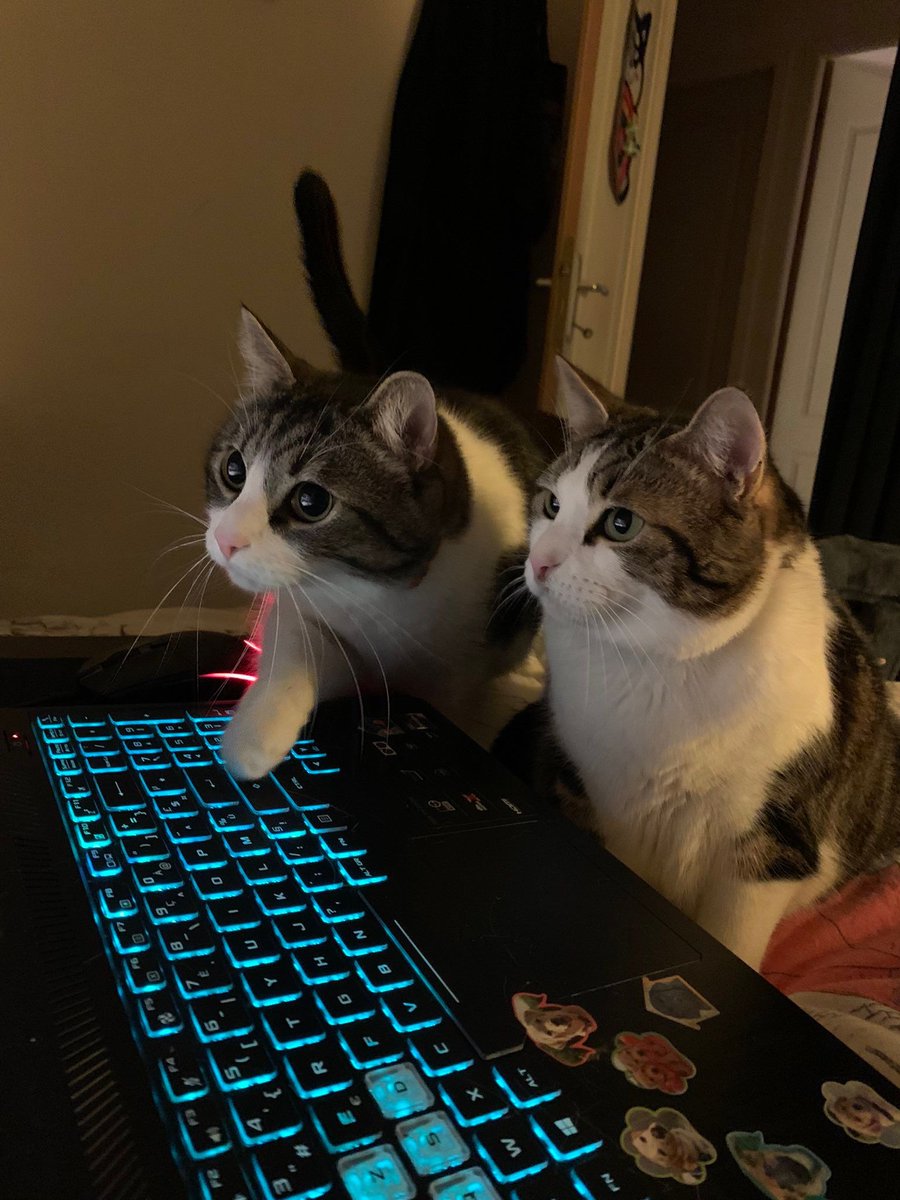 KennekyDeky's tweet photo. "ok so at the end of the game you type "sup diff" in all chat to tilt the enemy support" https://t.co/E4dZzZRjga